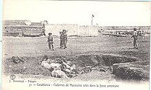 Moroccan cadavers in a mass grave.