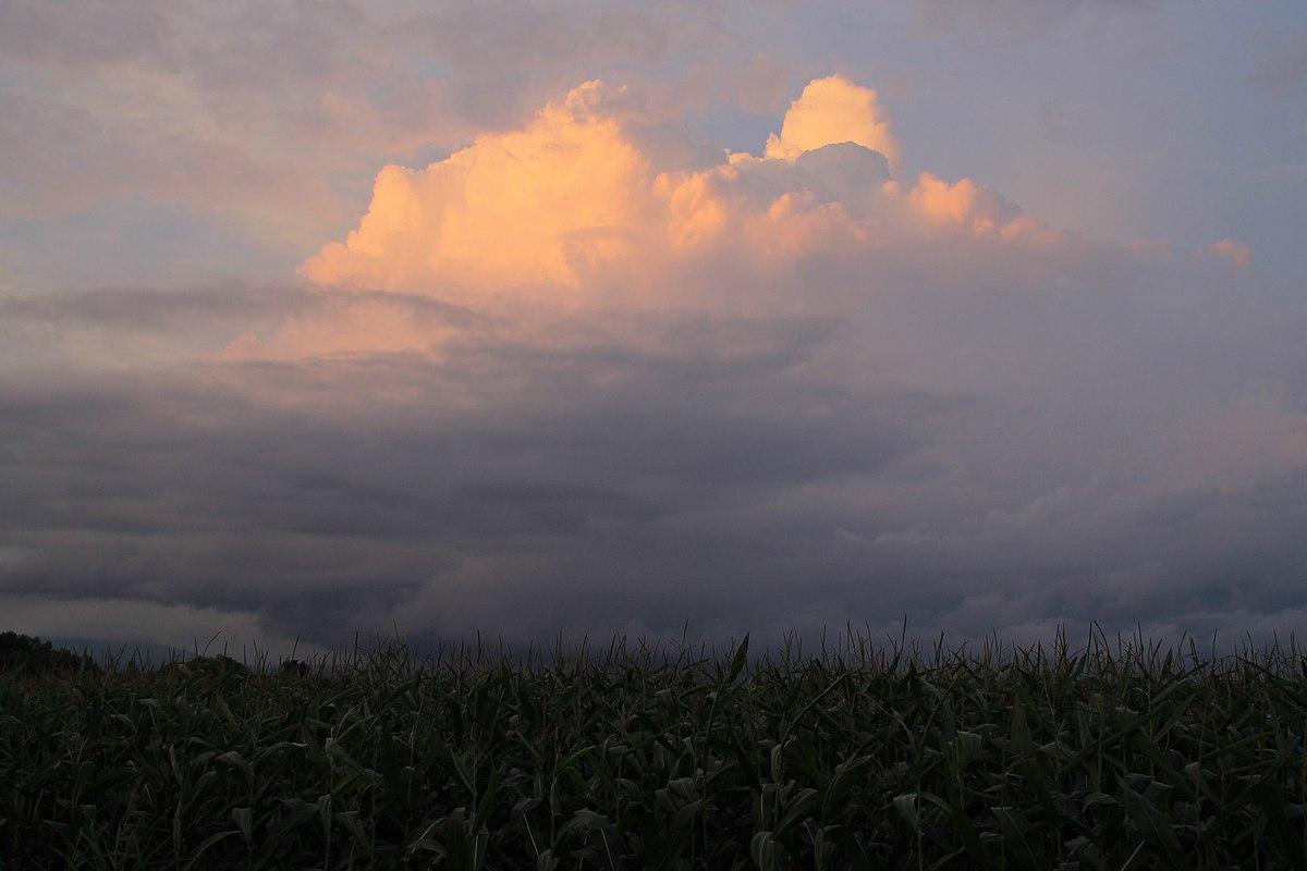 File 夕暮れの夏雲 Panoramio Jpg Wikimedia Commons