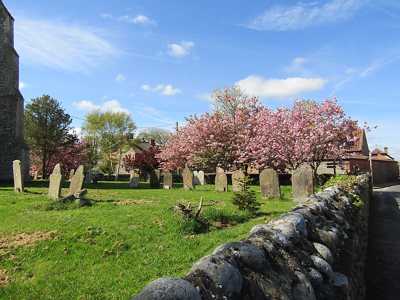 File:-03-05-2023 Cherry blossom, Trimingham churchyard, Norfolk.JPG