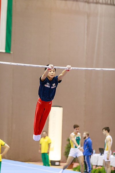 File:15th Austrian Future Cup 2018-11-24 Katsuki Iwamoto (Norman Seibert) - 10542.jpg