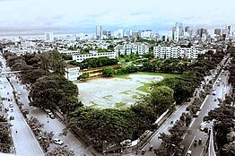 A bird's-eye view of the school