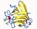 Vignette pour Facteur de croissance des fibroblastes