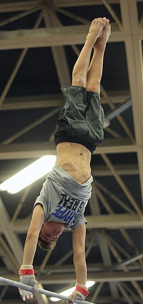 File:2019-05-24 Budapest Cup training horizontal bar (Martin Rulsch) 336.jpg