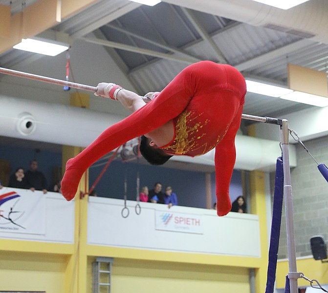 File:2019-11-30 OHC Liberec 2019 MAG Apparatus finals Horizontal bar (Martin Rulsch) 116.jpg