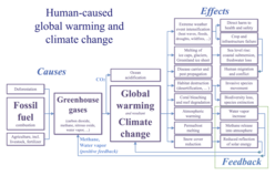 The atmosphere is a natural system that acts as a spillover site resulting from human systems' fossil fuel usage. There are a multitude of negative effects to greenhouse gas accumulation in the atmosphere. 20200101 Global warming - climate change - causes effects feedback.png