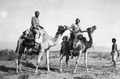 Carrera de camellos en 1948