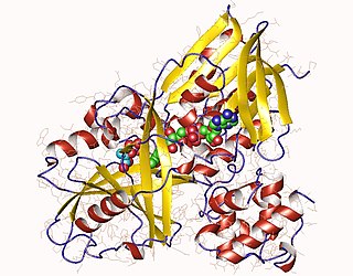 <span class="mw-page-title-main">Glycerol-3-phosphate dehydrogenase (quinone)</span>