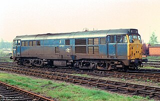 <span class="mw-page-title-main">British Rail Class 31</span> Class of diesel-electric locomotives
