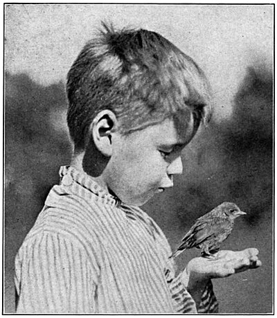 "A BIRD IN THE HAND"