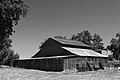 A old Barn by road 14 Woodland California - panoramio.jpg