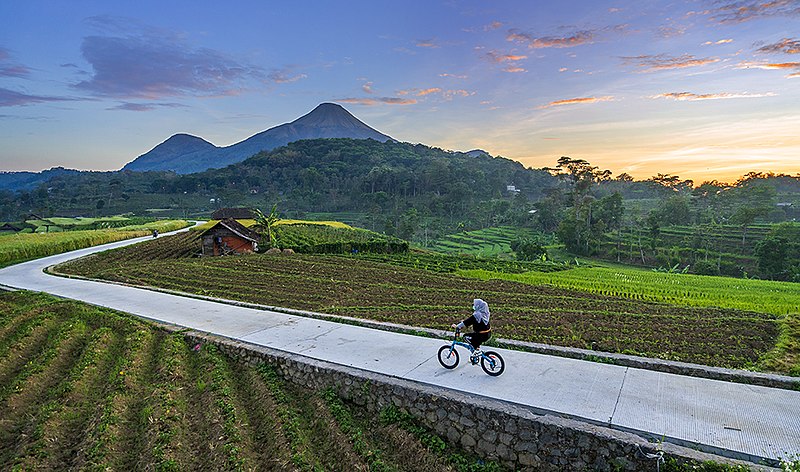 File:Aktivitas bersepeda di alam desa Selotapak.jpg