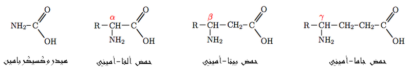 صورة:Aminacid-ar.PNG