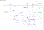 Thumbnail for File:Amino acid metabolism in triple-negative breast cancer cells.svg