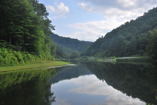 Anawalt Lake Wildlife Management Area in McDowell County