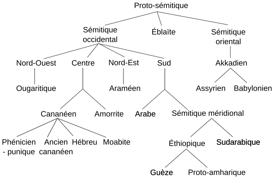 Семитские языки карта