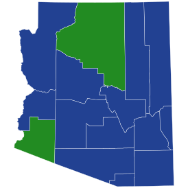 2020 Arizona Democratic presidential primary 2020 Arizona Democratic primary