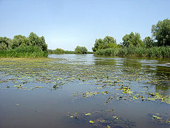 El río Volga cerca de su desembocadura