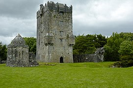 Замок Аугнанур, главный замок О'Флаэрти.