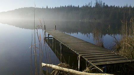 Auweiher