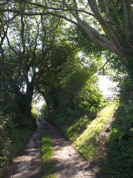 File:Avon Estuary Walk - geograph.org.uk - 1510562.jpg