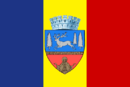 Vlag van Bacău