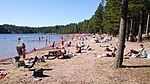 Artikel: Dammsjön (Gustafs socken, Dalarna, 669457-149129)