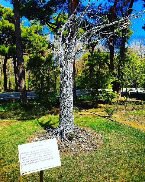 File:Baku Botanical Garden.jpg