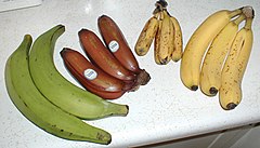 Banana