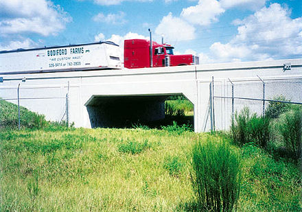 Wildlife underpass for bears in Florida, United States