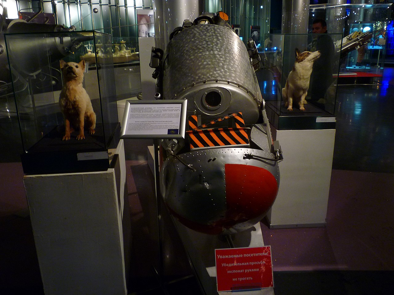 Белка и стрелка в музее космонавтики