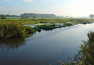 De Berkel bij de Boevinkbrug (ten westen van Lochem), waarbij de oever ook deels is afgegraven.