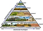 Vorschaubild für Effektive Klimaklassifikation