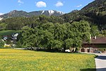 Pear Tree Alley at Mitterhart Castle