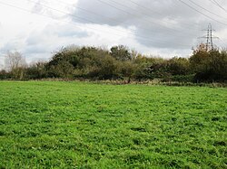 Bishop's Meadow 6.jpg