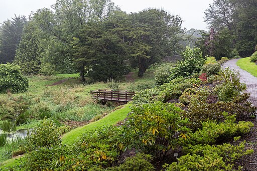 Blarney Castle Gardens - geograph.org.uk - 5155015