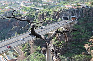 File Blick Vom Botanischen Garten Auf Die Ponte Joao Gomes Und