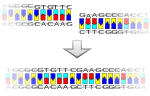 Miniatura para ADN recombinante