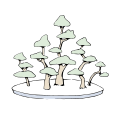 Yose-ue - Forma de bosc