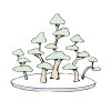 Bonsai Wald-Form.svg