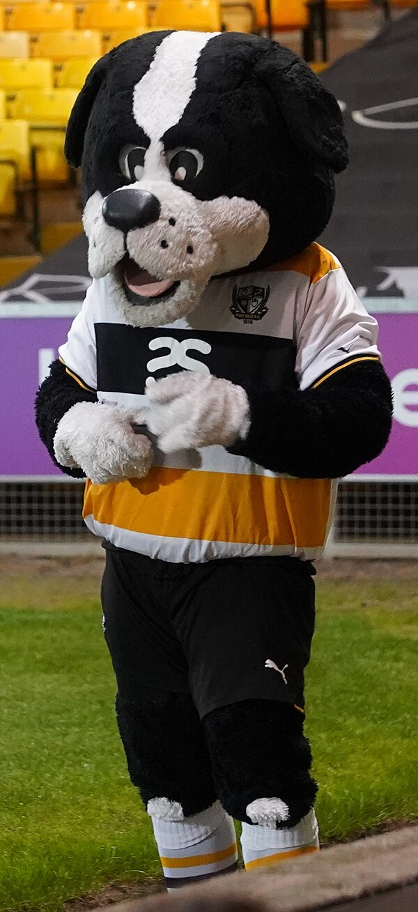 Club mascot Boomer.