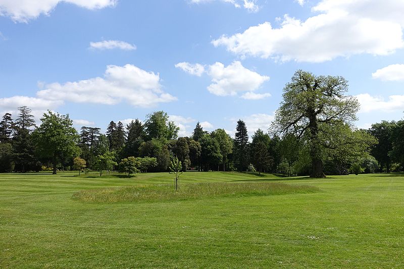 File:Bowood lawn and pinetum - Wiltshire, England - DSC00354.jpg