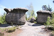 Broumovské stěny, skalní hřiby