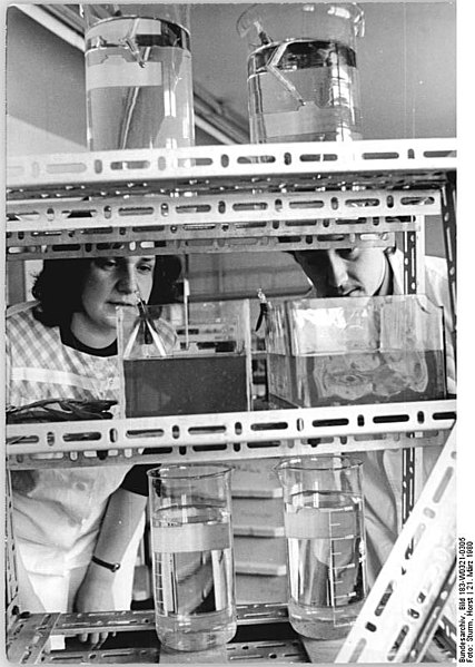 File:Bundesarchiv Bild 183-W0321-0305, Schwarzheide, Synthesewerk, Labor zur Wasserkontrolle.jpg