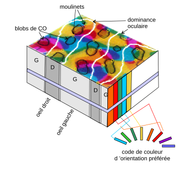 File:Cartes superposees.svg