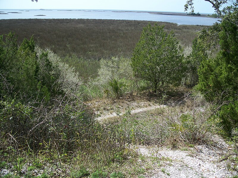 File:Cedar Key FL Shell Mound Park trail04.jpg