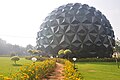 Central Library With flowers