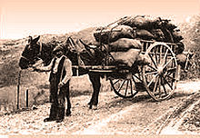 Carbón de leña para señuelos de montaña