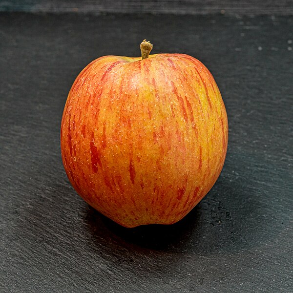 File:Cheerful-Gold (apple) jm122887.jpg