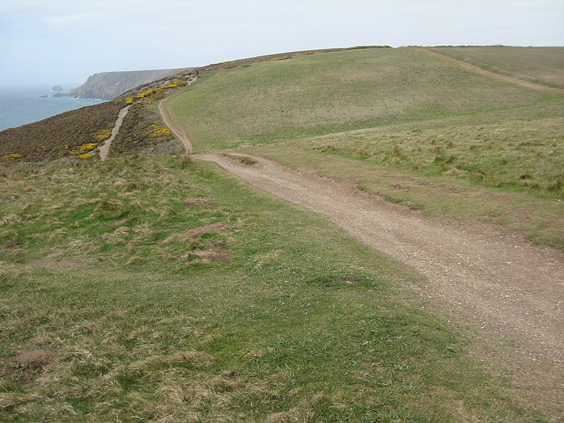 File:Coast path near Porthtowan - geograph.org.uk - 2007331.jpg