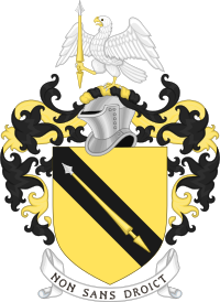 Family arms, granted in 1596